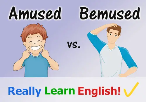 Amused Vs Bemused What Is The Difference with Illustrations And 